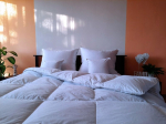 Fluxar home anklodė KD-1138, 200x200cm