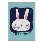 Asir kilimas Hmı Kdc98 80x140 cm