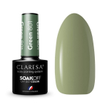 CLARESA hibridinis lakas ŽALIA 801 -5g