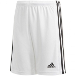 Sportiniai &scaron;ortai vyrams Adidas Squadra 21 Short Youth Jr GN5766
