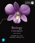 Biology: A Global Approach, Global Edition 12th edition