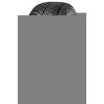 Automobilio padanga Nankang AW-6 CROSS SEASONS 205/60VR16