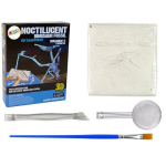 Archeologijos kasinėjimų rinkinys dinozauro skeletas pteranodon 3D holograma