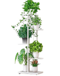 Gėlių stovas Forrestdecor Ficus 43x22x98cm, baltas