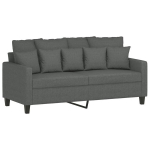 Dvivietė sofa，Poilsio sofa, tamsiai pilkos spalvos, 140cm, audinys CFE42633