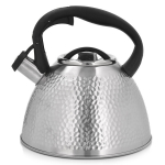 Ambition virdulys su &scaron;vilpuku Bubble, 2,6 l, sidabrinis
