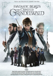 DVD filmas Fantastiniai gyvūnai: Grindelvaldo piktadarystės 2018