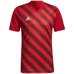 Sportiniai mar&scaron;kinėliai vyrams Adidas Entrada 22 Graphic Jersey, raudoni