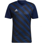 Sportiniai mar&scaron;kinėliai vyrams Adidas Entrada 22 Graphic Jersey M HF0131, mėlyni