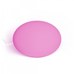 Philips Hue stalinis &scaron;viestuvas Flourish