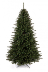 Kalėdinė eglutė Clarex 2.2 m