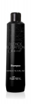 Plaukų &scaron;ampūnas su anglimi &scaron;viesintiems, balintiems plaukams Kaaral Charcoal, 300 ml