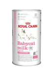 Royal Canin pieno pakaitalas Babycat Milk, 300 g