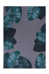 Kilimas Tropical 125, 80x150 cm, įvairių spalvų