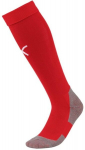 Futbolo kojinės Puma Team Liga Socks Core