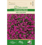 Paprastosios lobelijos Red cascade
