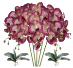 Dirbtinė orchidėja, 5 vnt.