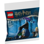 Statybinis rinkinys - LEGO - Drakonas uždraustoje mi&scaron;ke - Surinkti patiems - 8 metai - Unisex