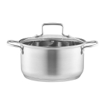 Ambition puodas su dangčiu Hugo, 20 cm, 3 l