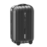 REMAX RPP-595 10000mAh, mažas