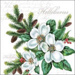 Popierinės servetėlės pietums/vakarėliams/festivaliams, apytiksliai 33 x 33 cm - Christmas White Helleborus - ruduo - žiema - Kalėdos - puikiai tinka kaip dovana ir stalo dekoracija
