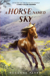 A Horse Named Sky, A Horse Named Sky
