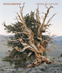 Mitch Epstein: American Nature, Mitch Epstein: American Nature