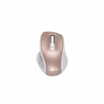 Asus 90XB066N-BMU010, rožinė/auksinė