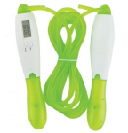 &Scaron;okdynė HMS SK31 su LCD skaičiuokle