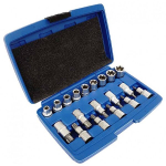 Galvutės Torx E10-E24 T20-T70 14vnt
