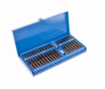 Antgalių komplektas TORX, HEX, SPLINE 40dalių, HT1S405, Hogert