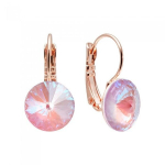 Auskarai moterims DiamondSky Clarice II DS02A499