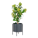 House Nordic dirbtinis augalas Photinia