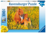 Dėlionė Ravensburger su poniais Shetland Pony, 13283, 100 d.