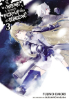 Is It Wrong to Try to Pick Up Girls in a Dungeon?, Vol. 3 (light novel), Vol 3, (Novel)