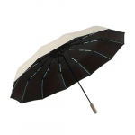 Moteri&scaron;kas skėtis