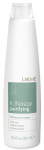 &Scaron;ampūnas riebiems plaukams Lakme 300 ml