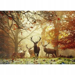 Dėlionė Heye 1000 det. Magi&scaron;ko mi&scaron;ko elniai 50x70cm