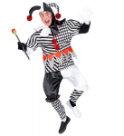 &bdquo;ARLEQUIN&ldquo; (paltas, kelnės, galvos apdangalas, pir&scaron;tinės)