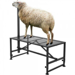 Gyvulių kirpimo ir priežiūros stovas 119,5&times;59,5 cm su reguliuojamu kaklo laikikliu 117&ndash;163 cm