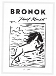 Bronok: Pasakojimai apie tikrovę ir metafiziką
