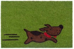 Kokoso kilimėlis "animals" 60x40cm, neslystantis, dekoratyvinis