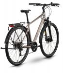 Dviratis Raymon Zayn Comp 2026 taupe grey-black-XL