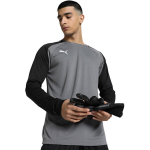 Vyri&scaron;ka vartininko mar&scaron;kinėliai Puma teamPACER GK LS pilkos spalvos 704933 43, 2XL