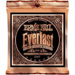 Stygos ak. gitarai Ernie Ball P02546