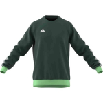 Džemperis vyrams Adidas, žalias