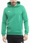 Džemperis vyrams Puma Team Goal Casuals Hoody 658618 05, žalias