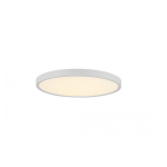 LED lubinis &scaron;viestuvas su nuotolinio valdymo pulteliu 48W 5700Lm baltas