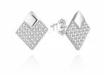 Elegant silver earrings with cubic zirconia AGUP3493