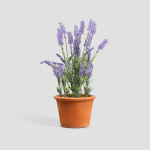 Dirbtinis augalas LAVENDER levandų 48 cm HOMLA
